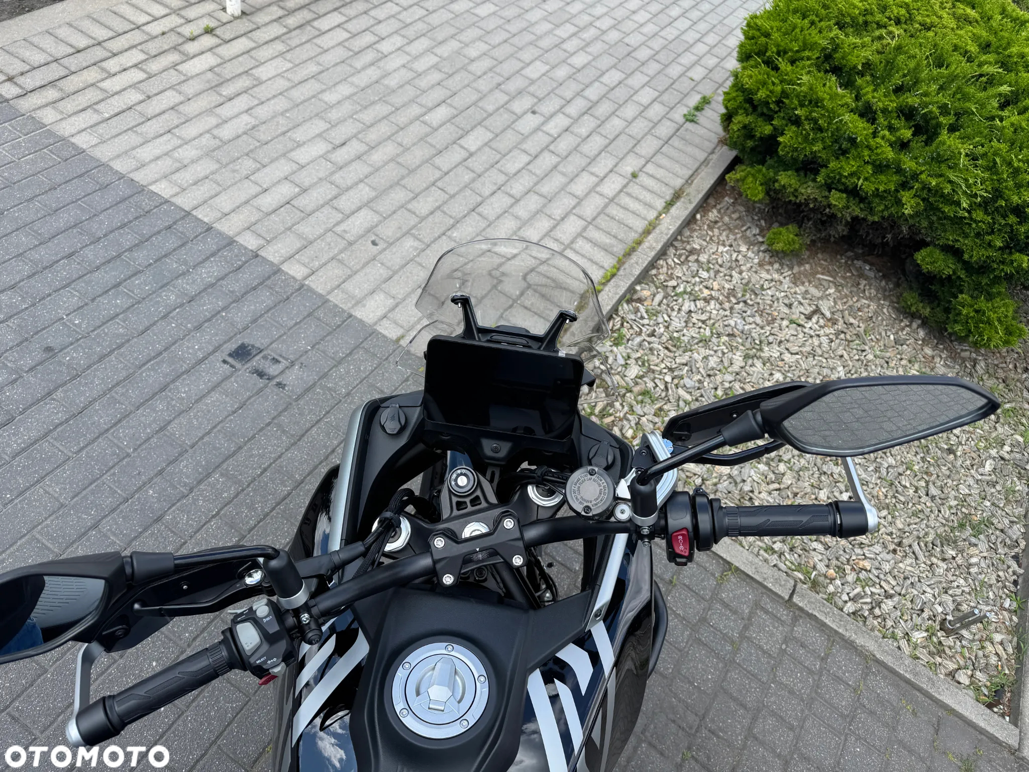 QJMOTOR SRT 600SX - 10