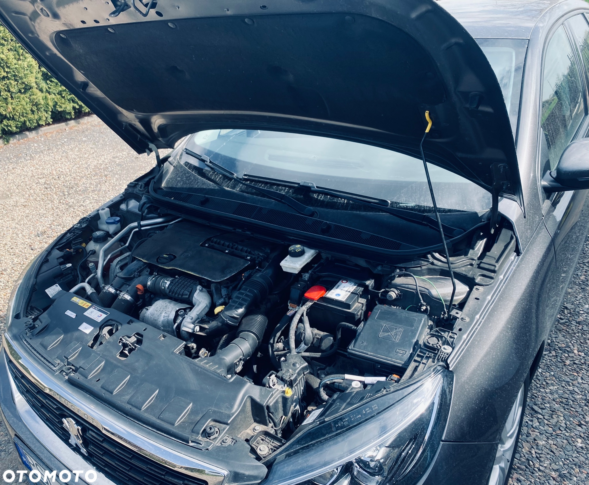 Peugeot 308 - 12