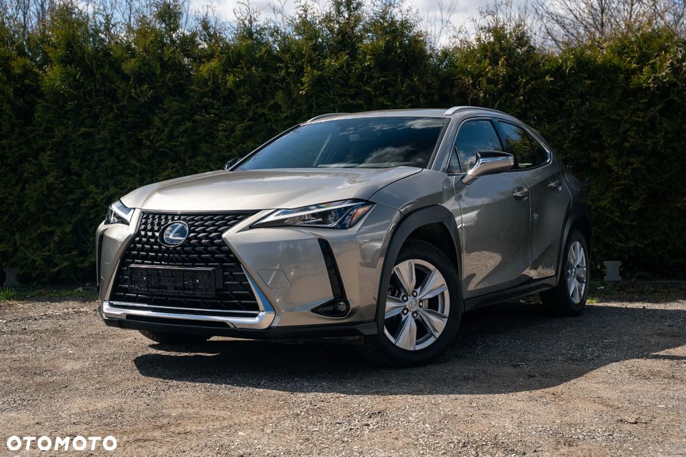 Lexus UX 250h Business Edition - 1