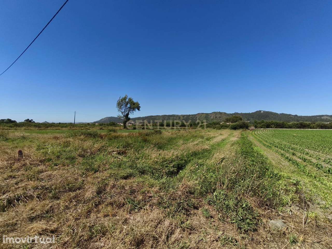 Terreno com 423m2 nas Marinhas com Excelente Localização - Grande imagem: 5/11