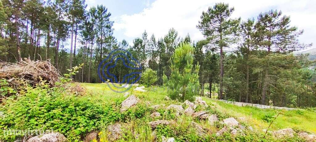 Terreno de 2545 m2   | Com Ruina Moradia T2 e Anexo | Gondomil e Saf - Grande imagem: 5/44