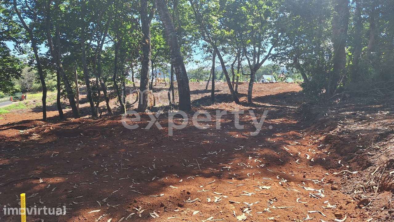 Terreno em Santana com 5090 m², Madeira - Grande imagem: 4/32