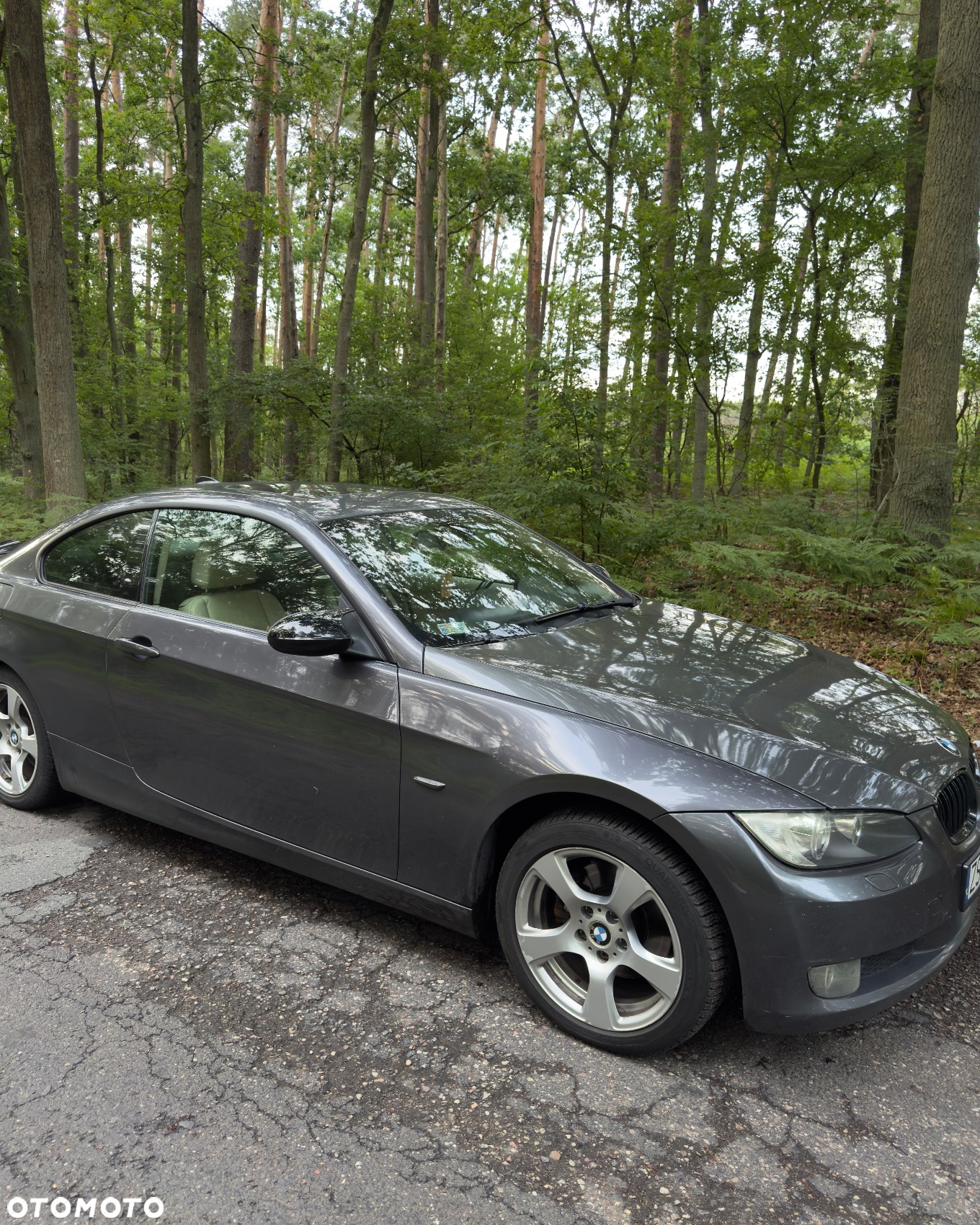 BMW Seria 3 - 16