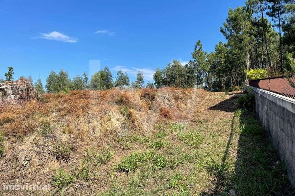 LOTE DE TERRENO URBANO PARA CONSTRUÇÃO COM 946 M2 EM VILAR (OLIVEIRA D - Grande imagem: 3/14