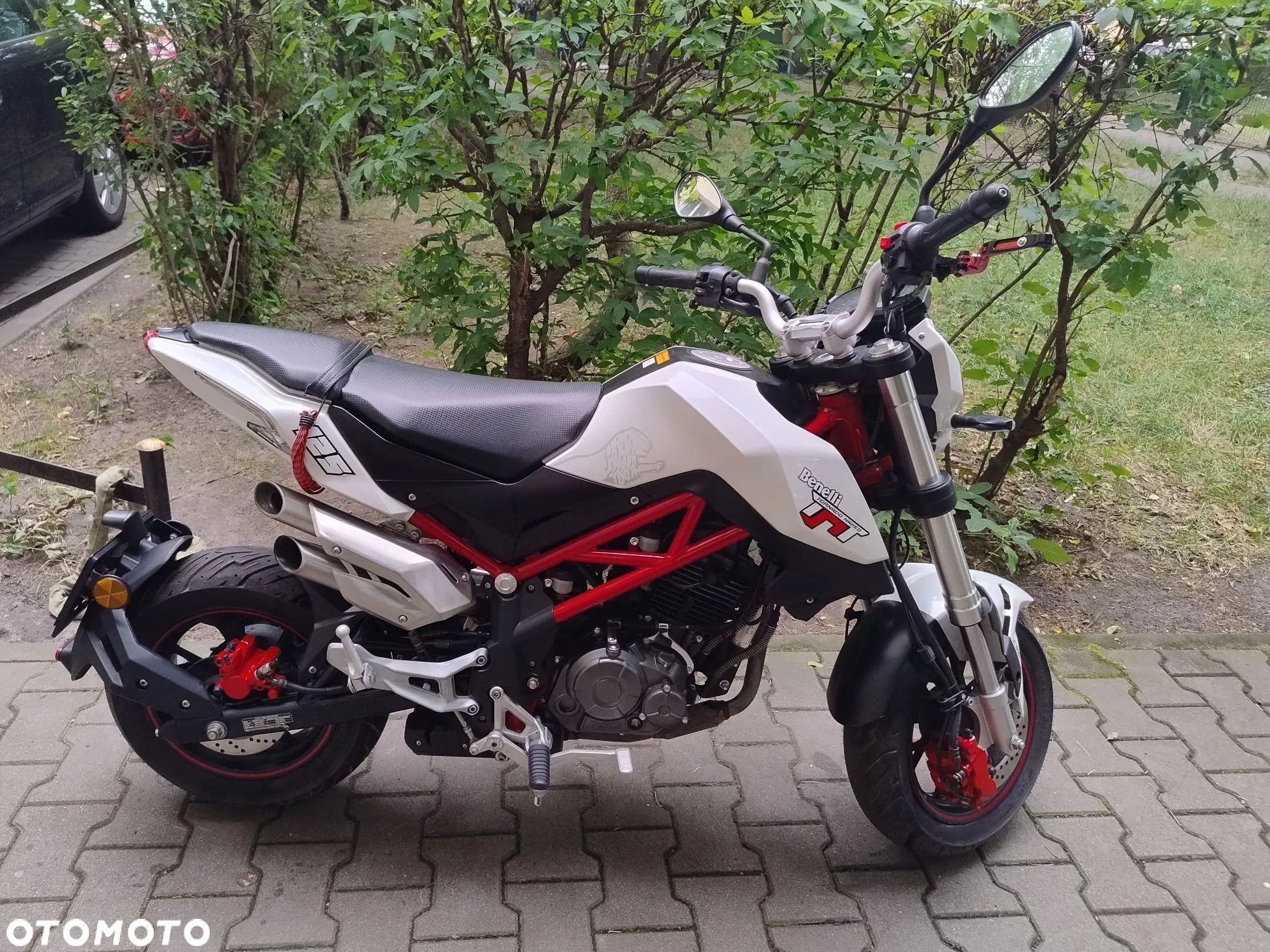 Benelli Tornado Naked T - 3