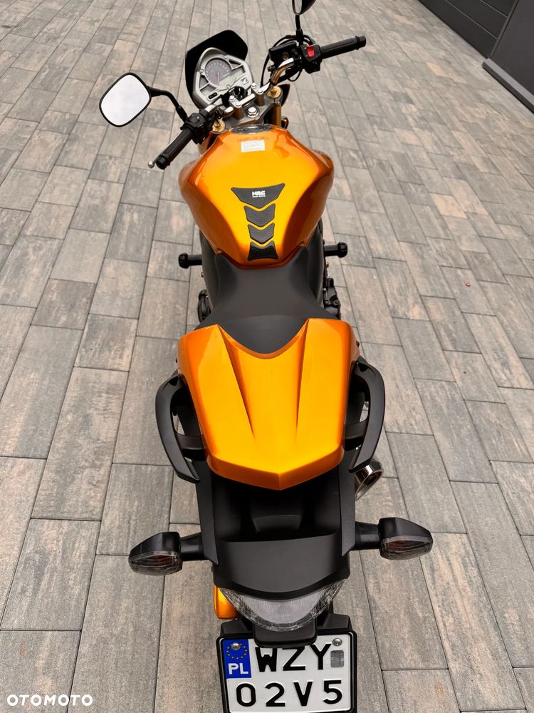 Honda Hornet - 5