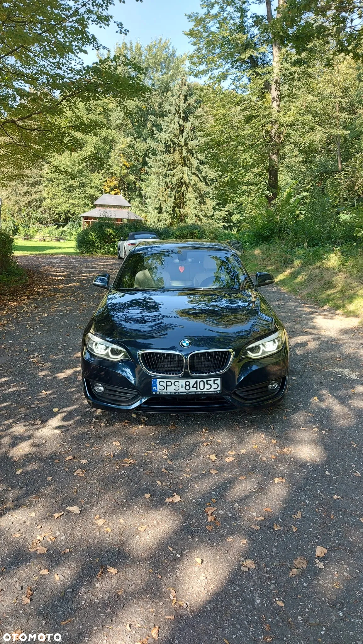 BMW Seria 2 230i Coupe Luxury Line - 3