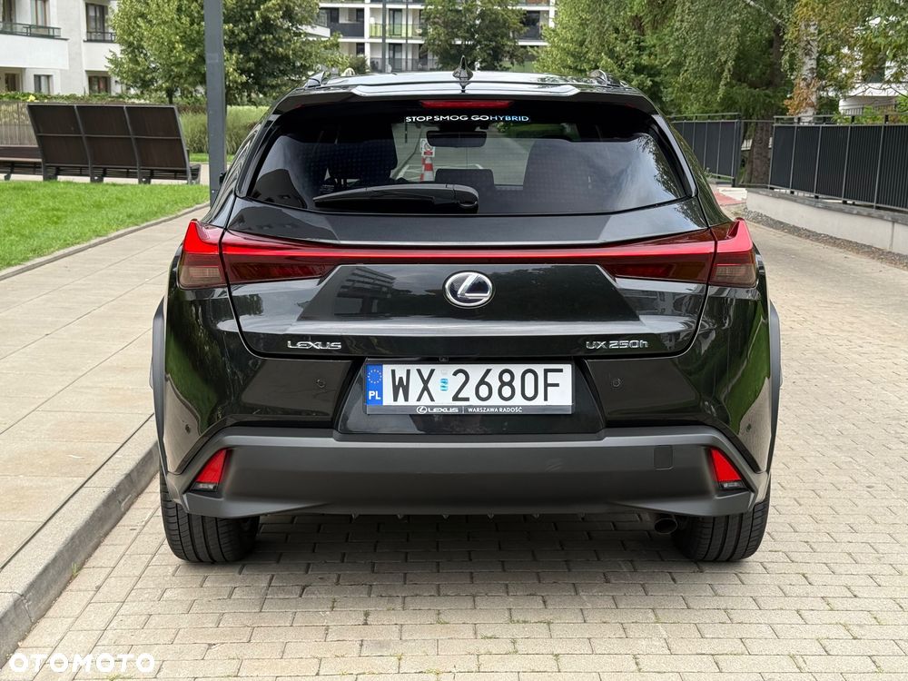 Lexus UX 250h F Sport 2WD - 11