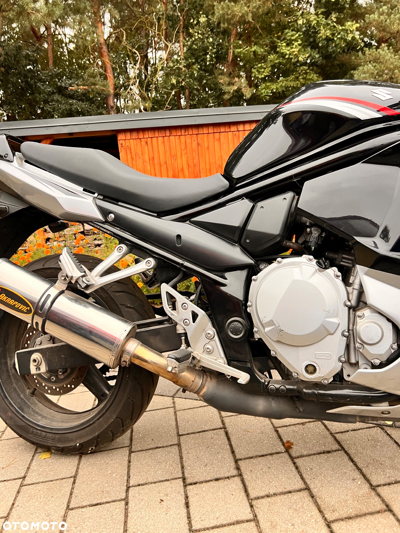 Suzuki GSX - 10