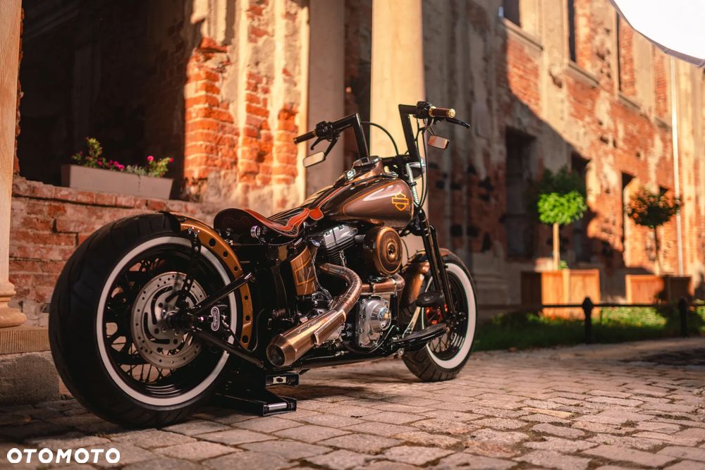 Harley-Davidson Softail Cross Bones - 20