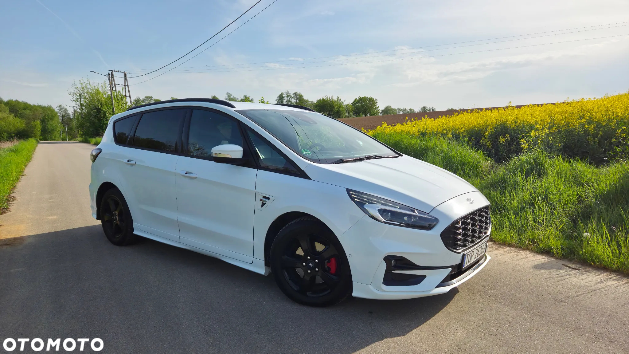Ford S-Max 2.0 EcoBlue ST-Line - 6