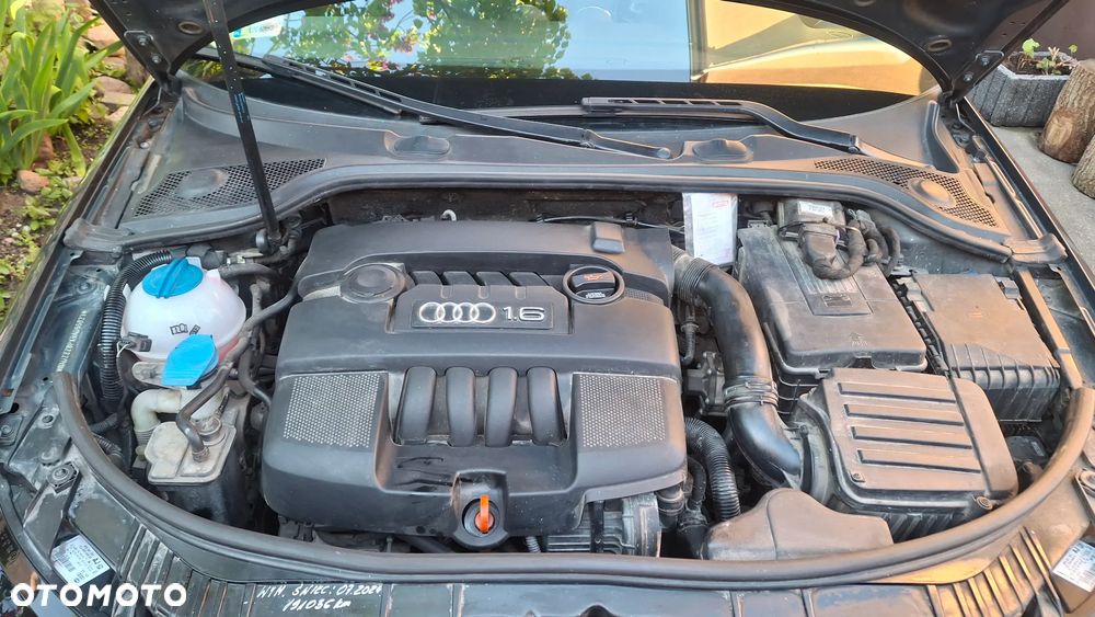 Audi A3 3-drzwiowe 1.6 Ambiente - 5