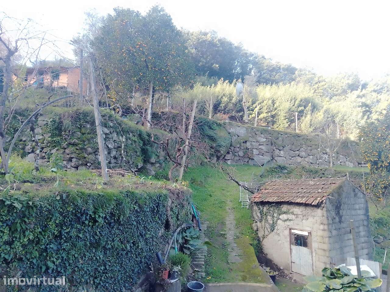 Terreno Rústico em Cinfães - Viseu Venda de Terreno em Cinfães - Viseu - Grande imagem: 4/28