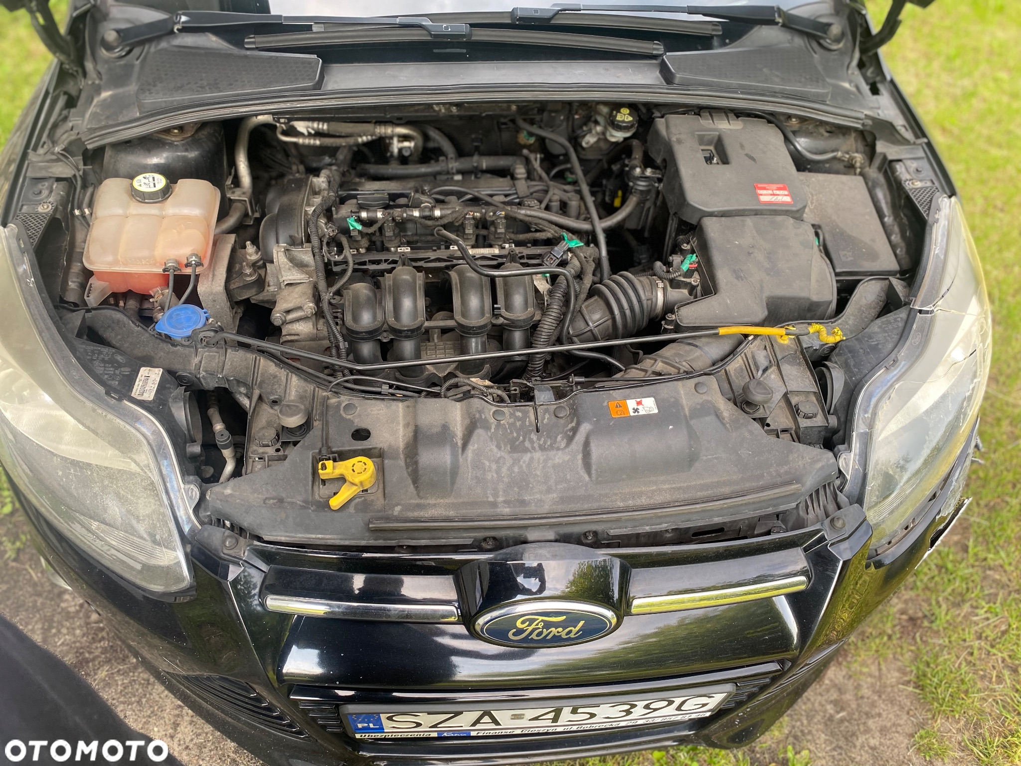 Ford Focus - 4