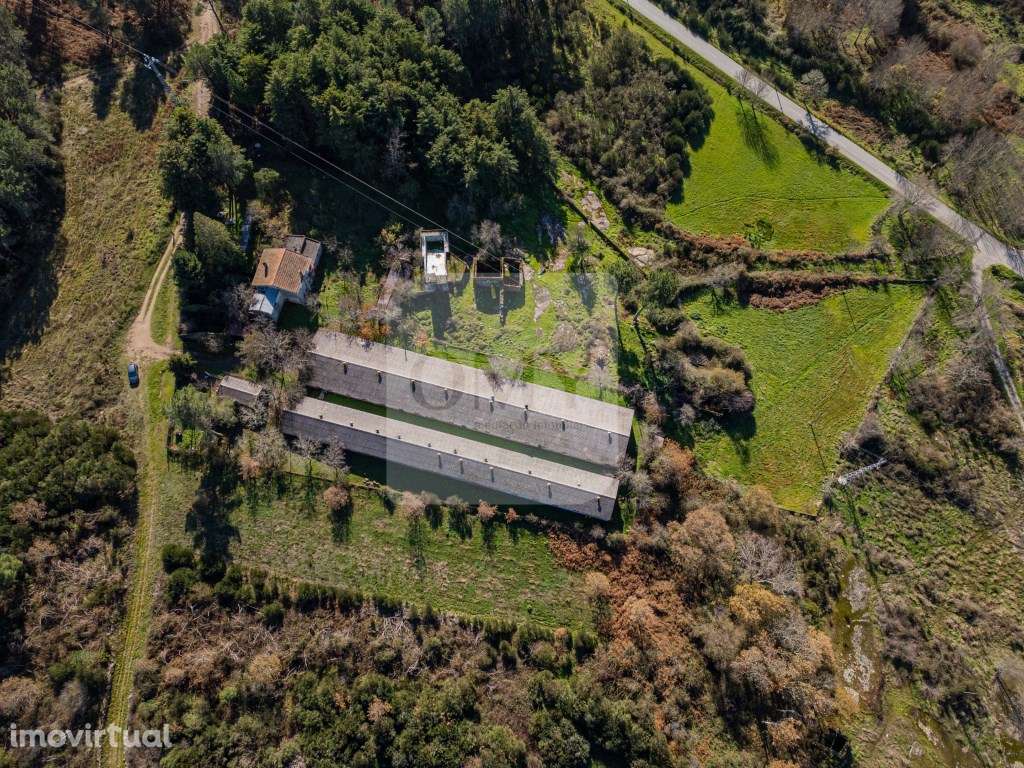 Terreno de 12.491m2 com Moradia T3 e Outras Edificações - Grande imagem: 3/17