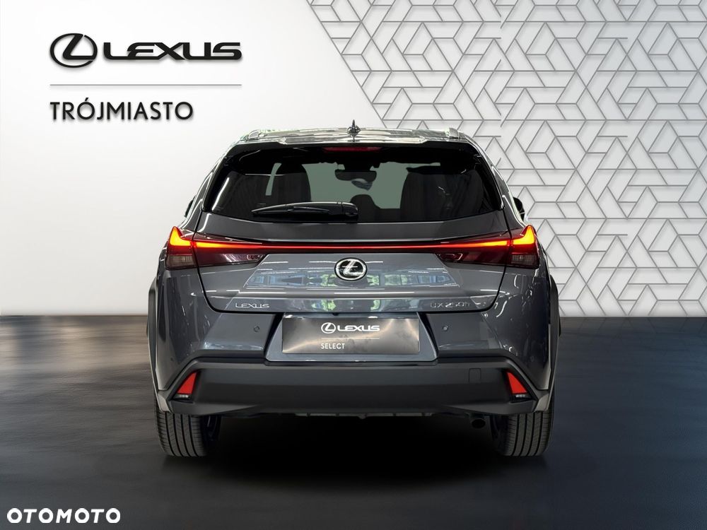 Lexus UX 250h GPF Business 2WD - 5