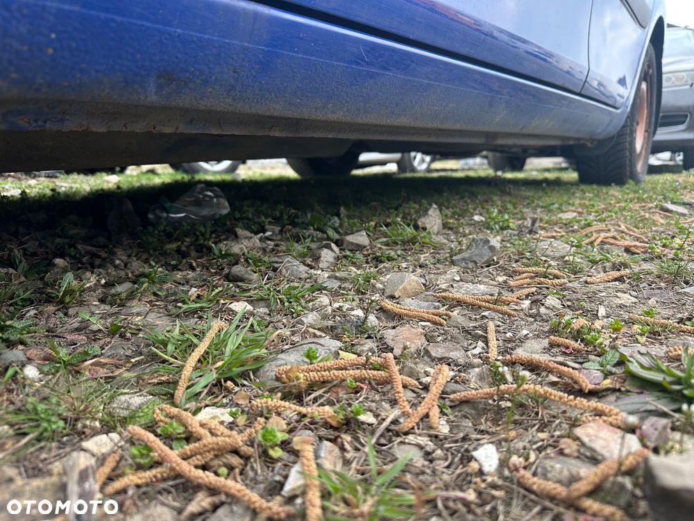 Skoda Fabia 1.4 MPI Cool Colour Edition - 19