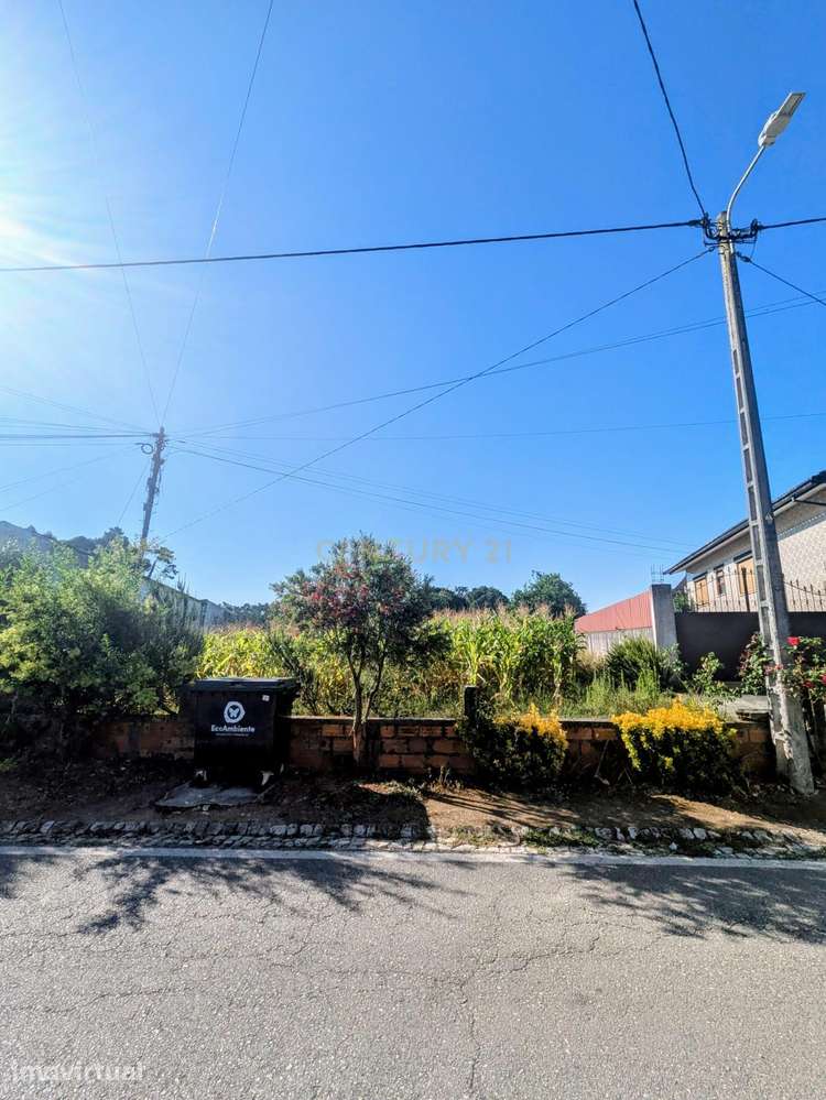 Terreno Rústico em Oliveira do Bairro - Grande imagem: 2/4