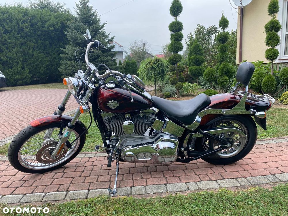 Harley-Davidson Softail - 1