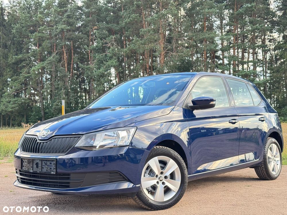 Skoda Fabia - 30