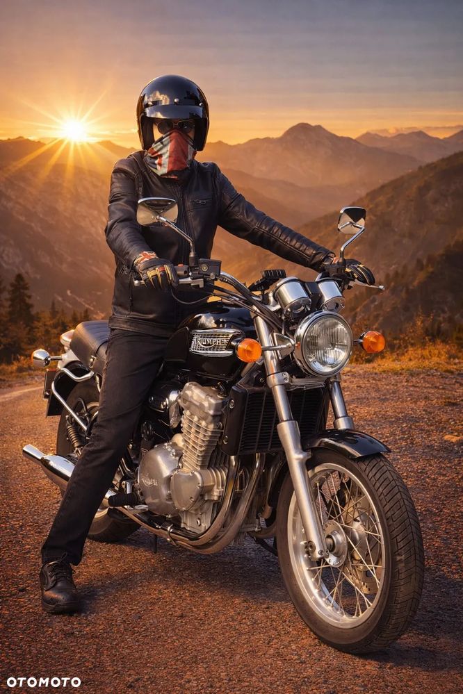 Triumph Thunderbird - 3