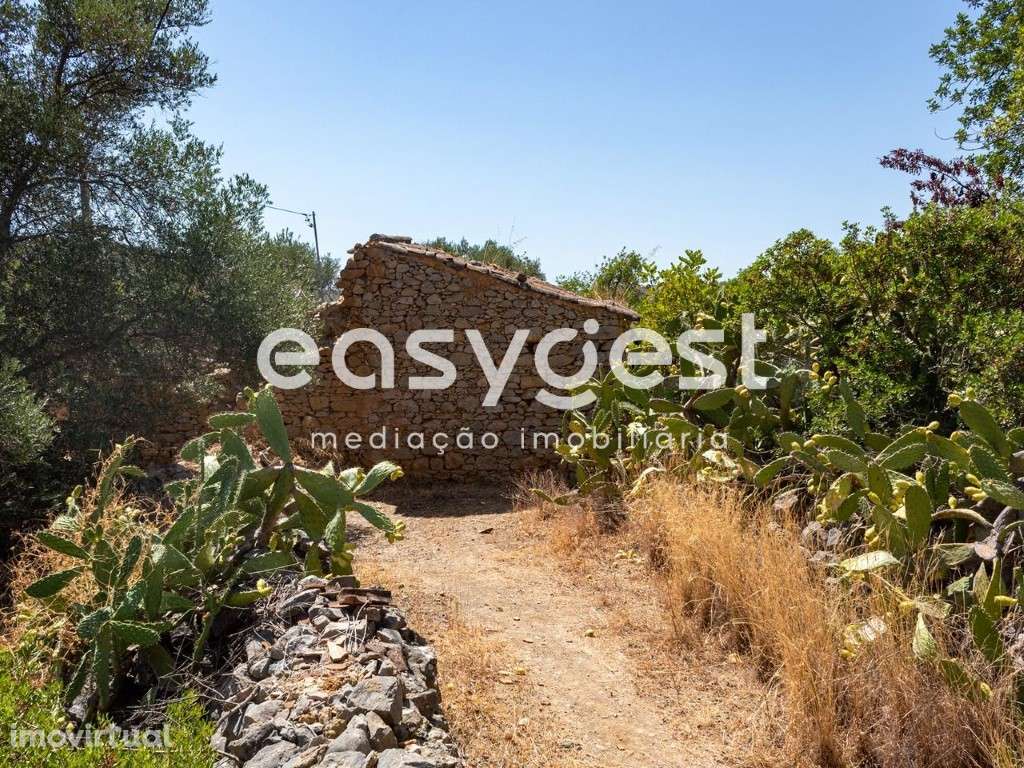 Terreno misto com ruina localizado em sitio do Pereiro-Moncarapacho - Grande imagem: 4/17