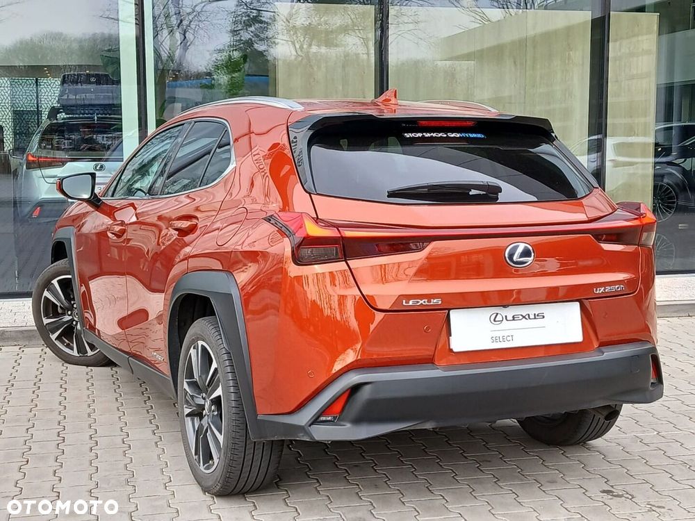 Lexus UX 250h GPF Business Edition 2WD - 11