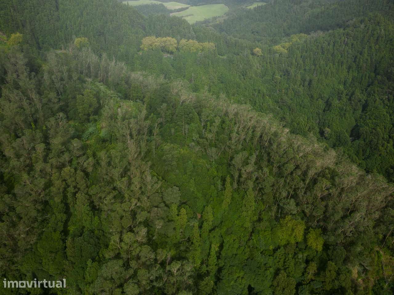 Terreno com Projeto Turístico nas Furnas - Grande imagem: 2/4