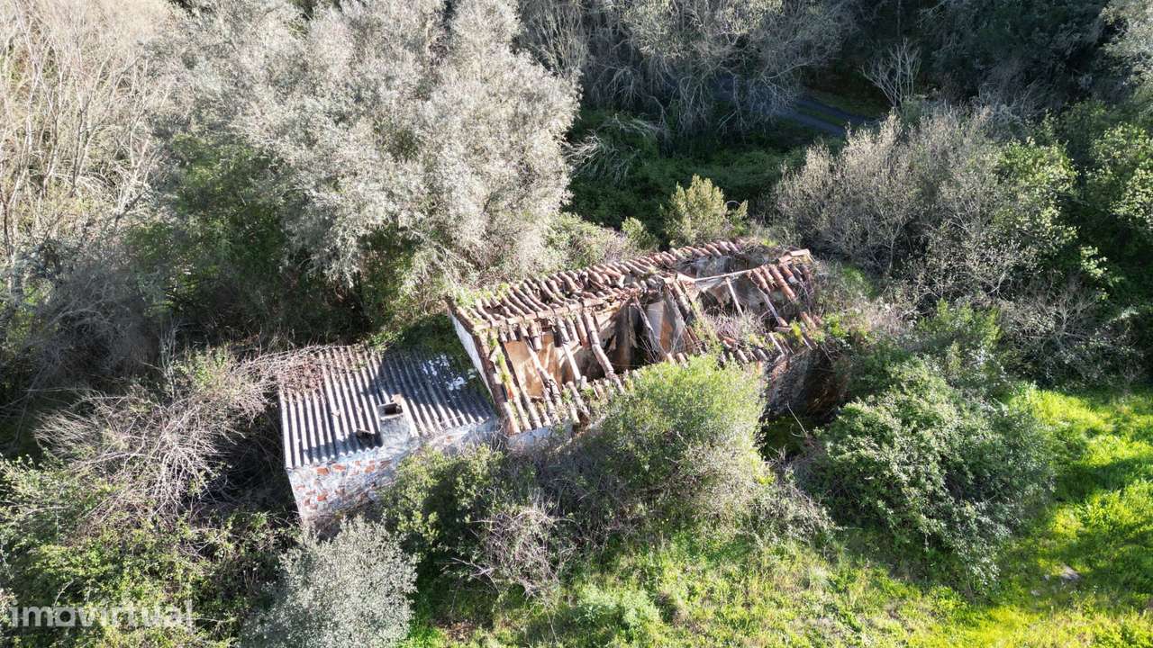 Terreno, 553 000 m², Luzianes-Gare - Grande imagem: 4/6