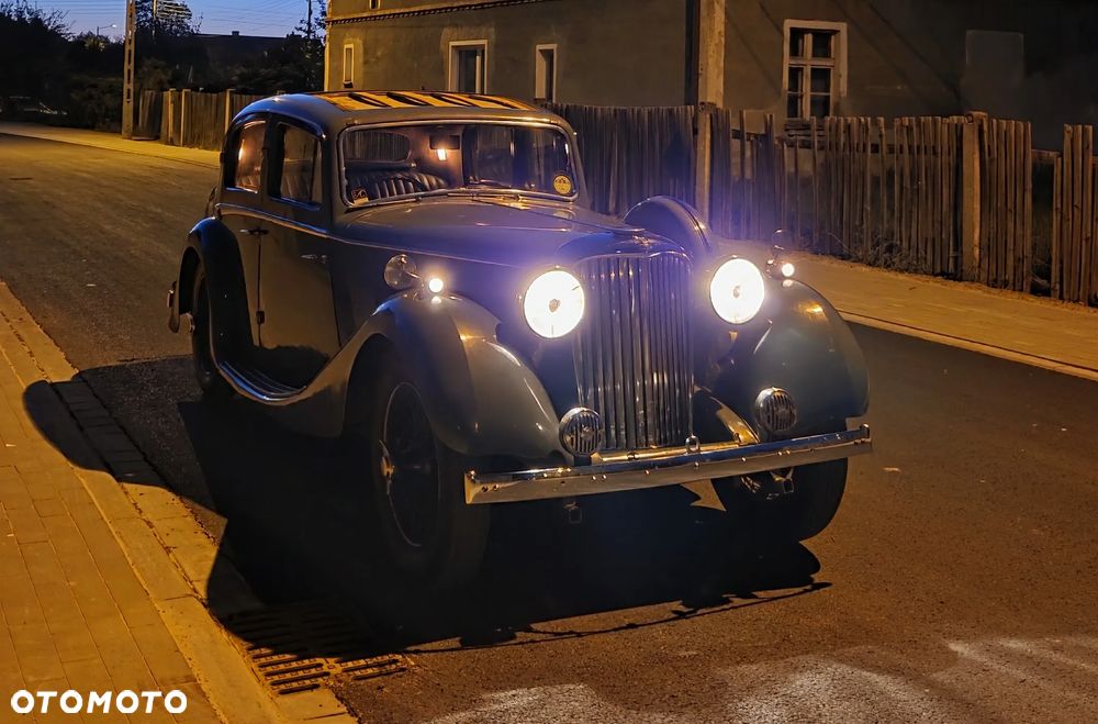 Jaguar Inny - 20