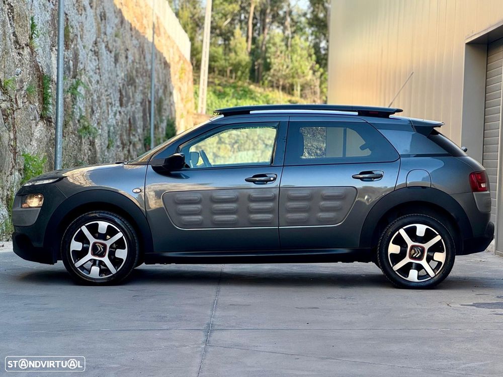 Citroën C4 Cactus 1.6 BlueHDi Shine - 24