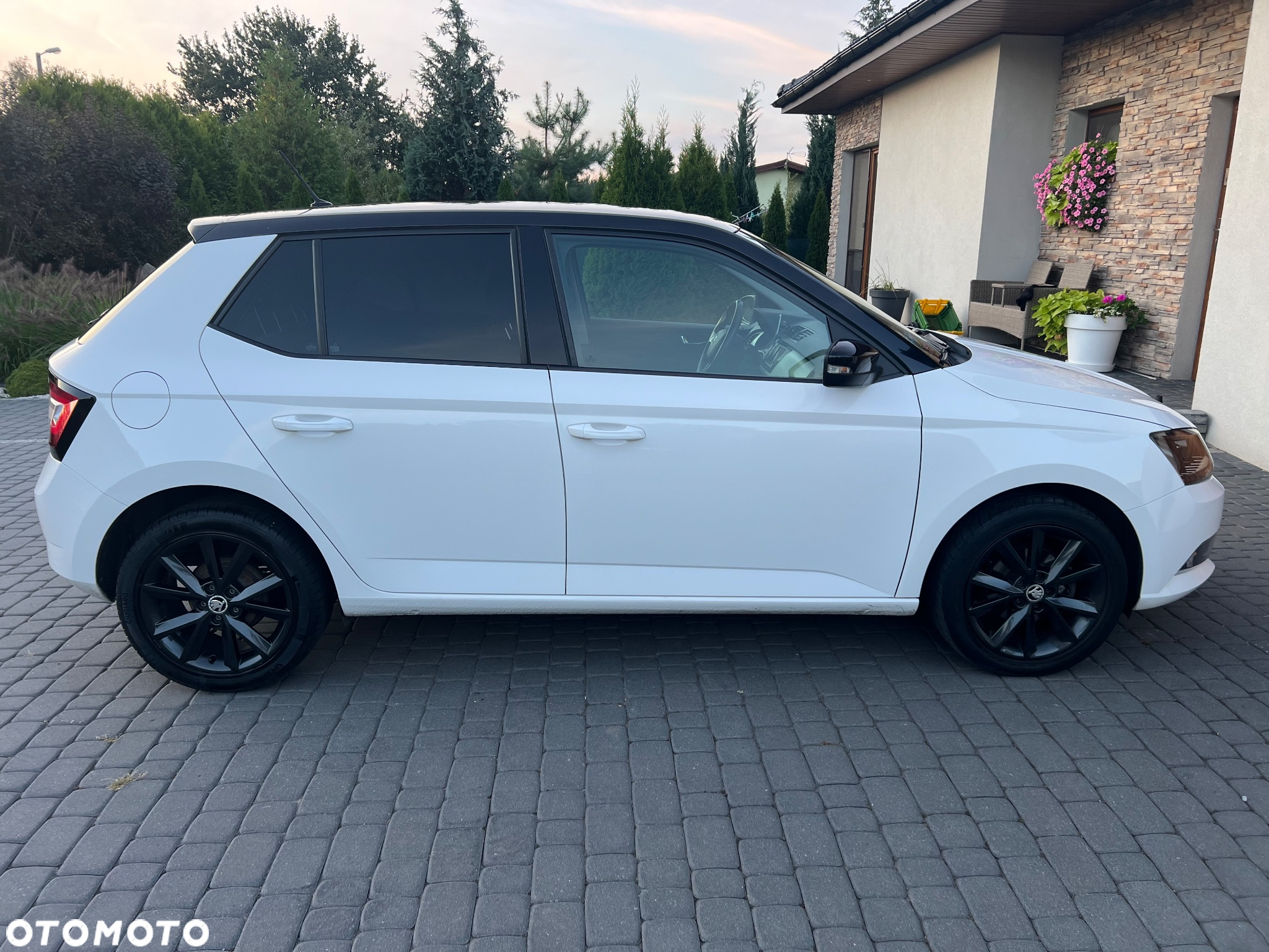 Skoda Fabia 1.2 TSI Ambition - 5