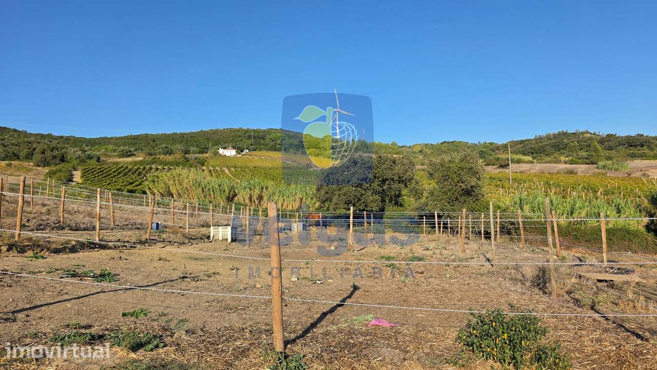 Terreno com 70.600 m², viabilidade para construção de moradia com proj - Grande imagem: 5/15