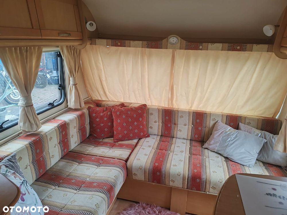 Bailey Ranger - 8