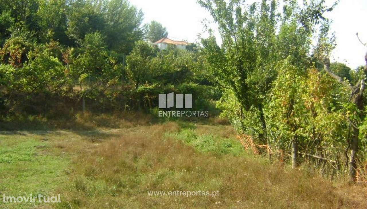 Venda Terreno, vista desafogada, Paredes de Viadores, Marco de Canaves - Grande imagem: 2/6
