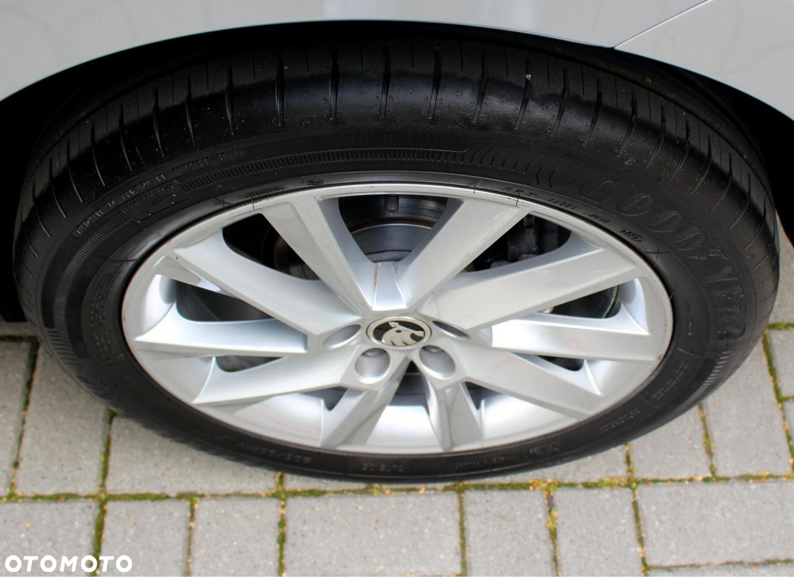 Skoda Kamiq 1.5 TSI Selection DSG - 32
