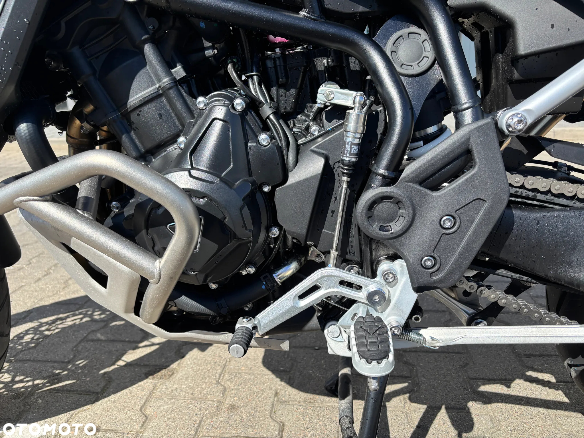 Triumph Tiger - 7