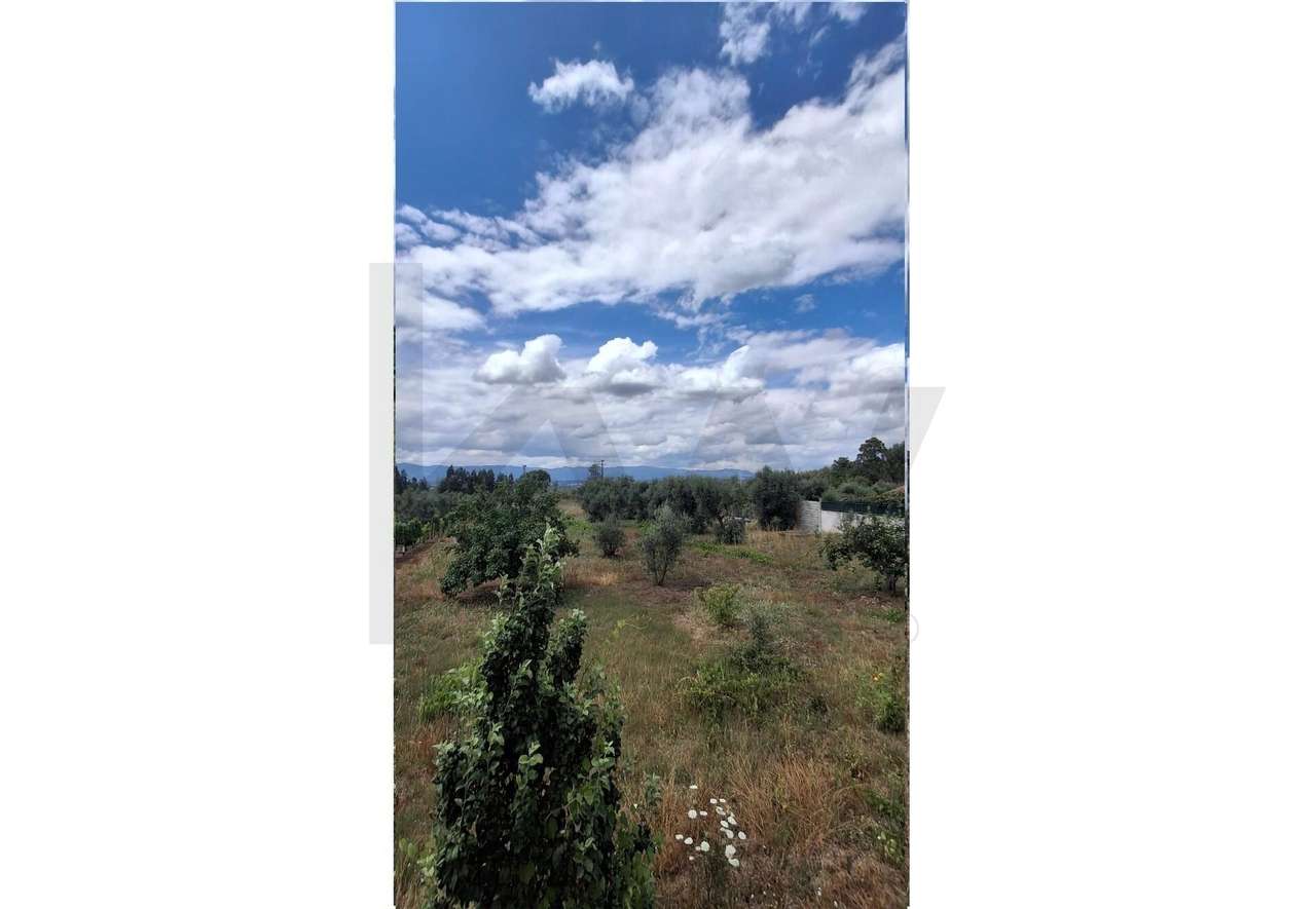 Terreno em Lageosa do Dão - Grande imagem: 3/8