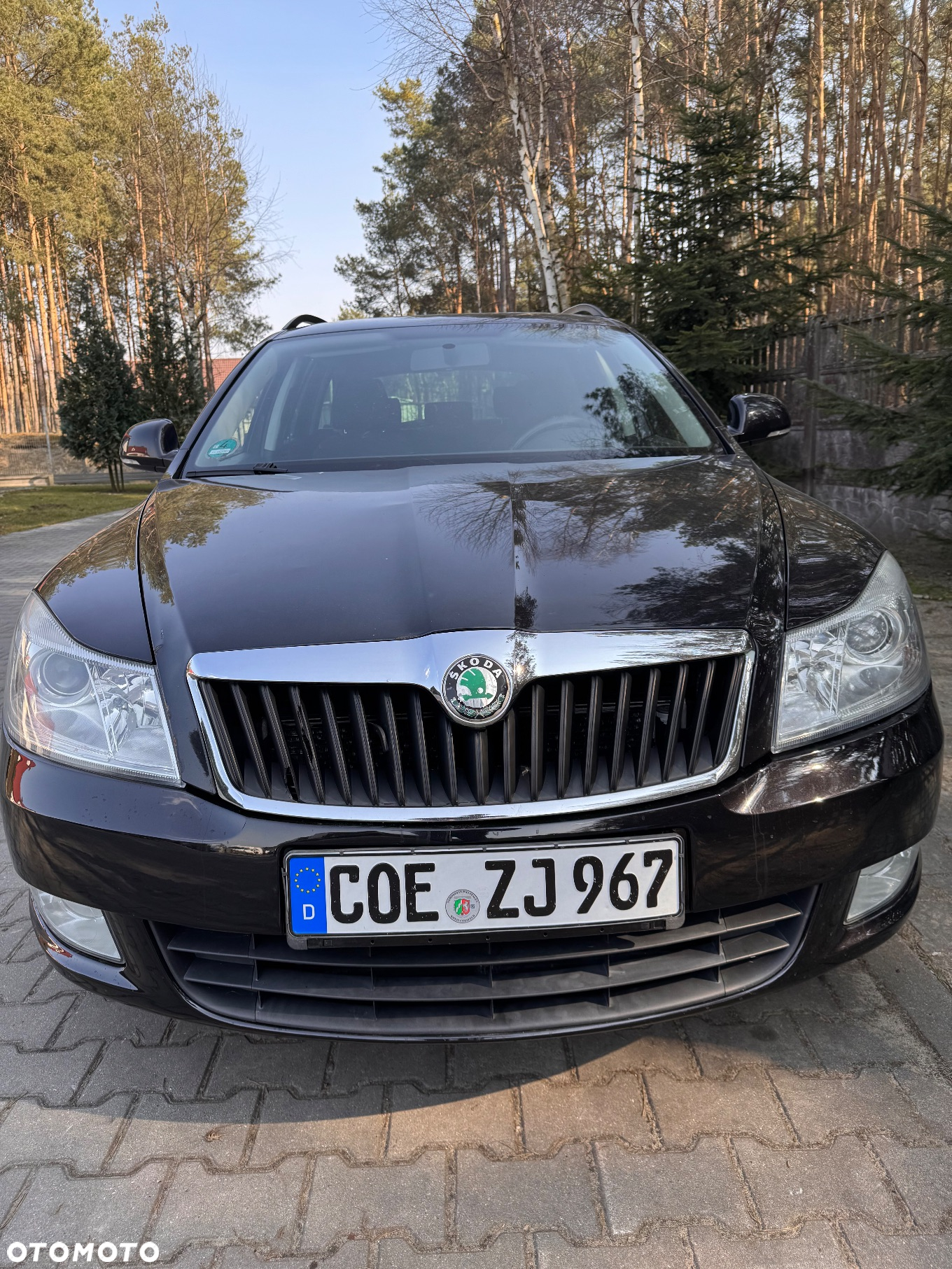 Skoda Octavia 1.6 TDI Ambiente - 2