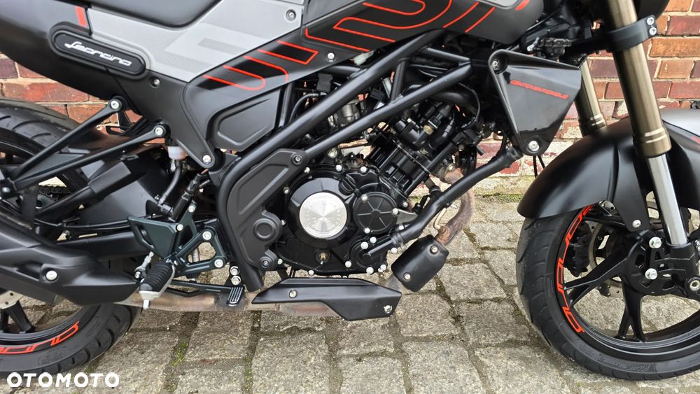 Benelli Leoncino - 19