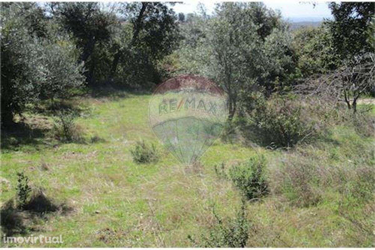 Quinta T0 para venda - Grande imagem: 3/19