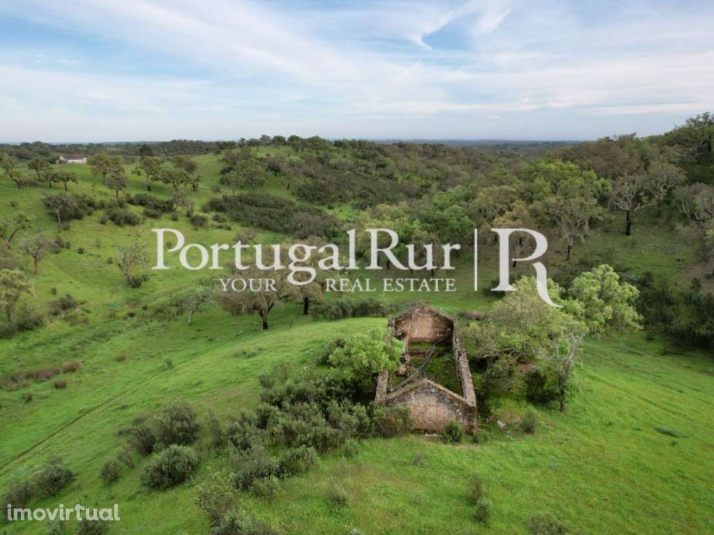 Monte das Colinas - 13.5 Hectares - São Bartolomeu da Serra - Grande imagem: 2/36