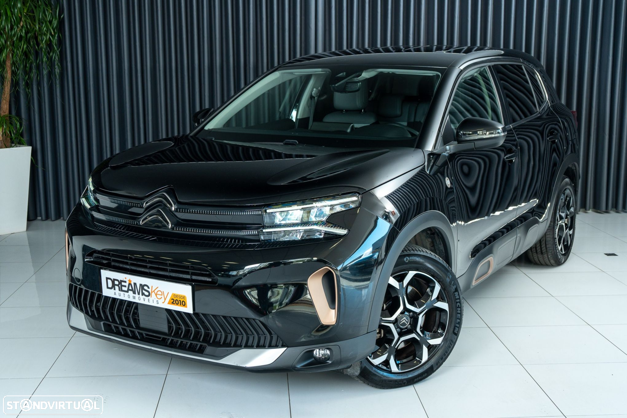 Citroën C5 Aircross 1.6 Hybrid C-Series e-EAT8 - 18