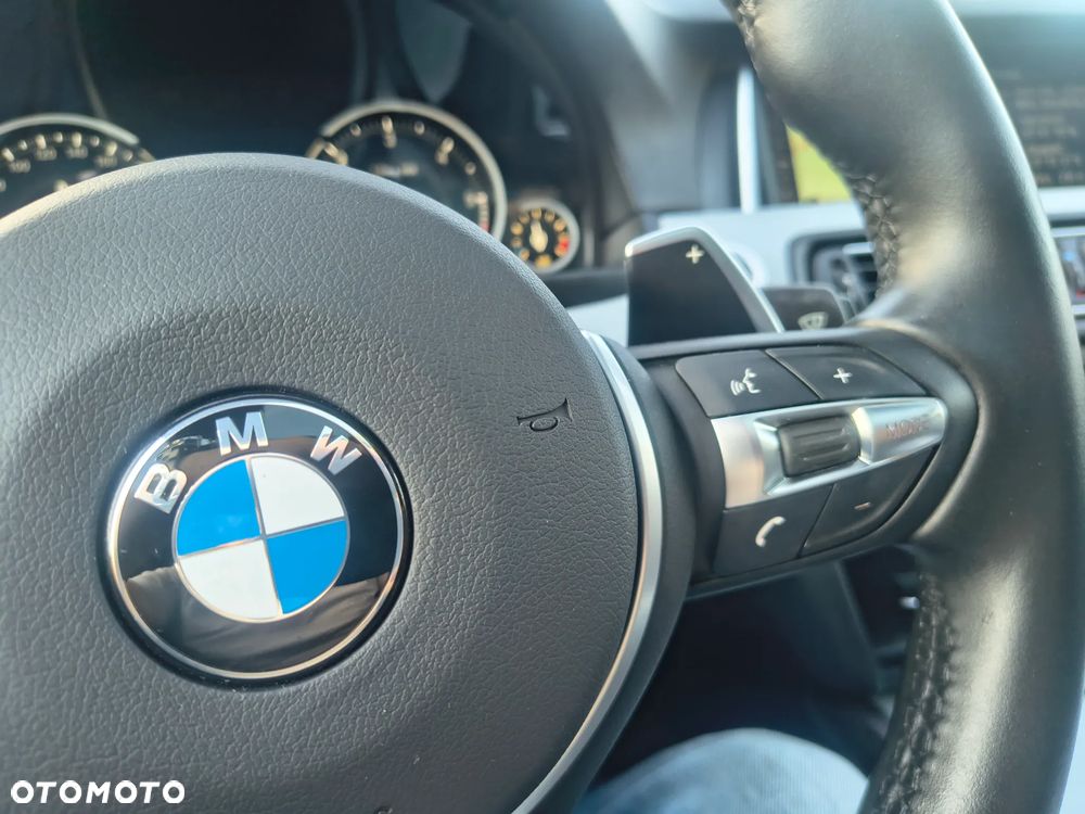 BMW Seria 5 530d Blue Performance Sport-Aut - 35
