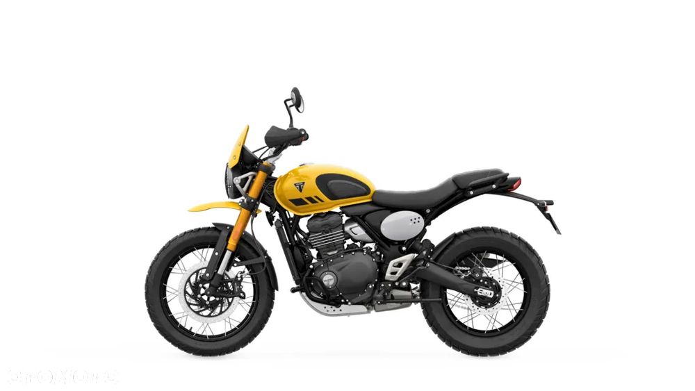 Triumph Scrambler - 18