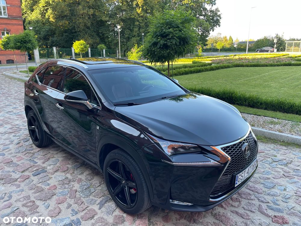 Lexus NX - 6