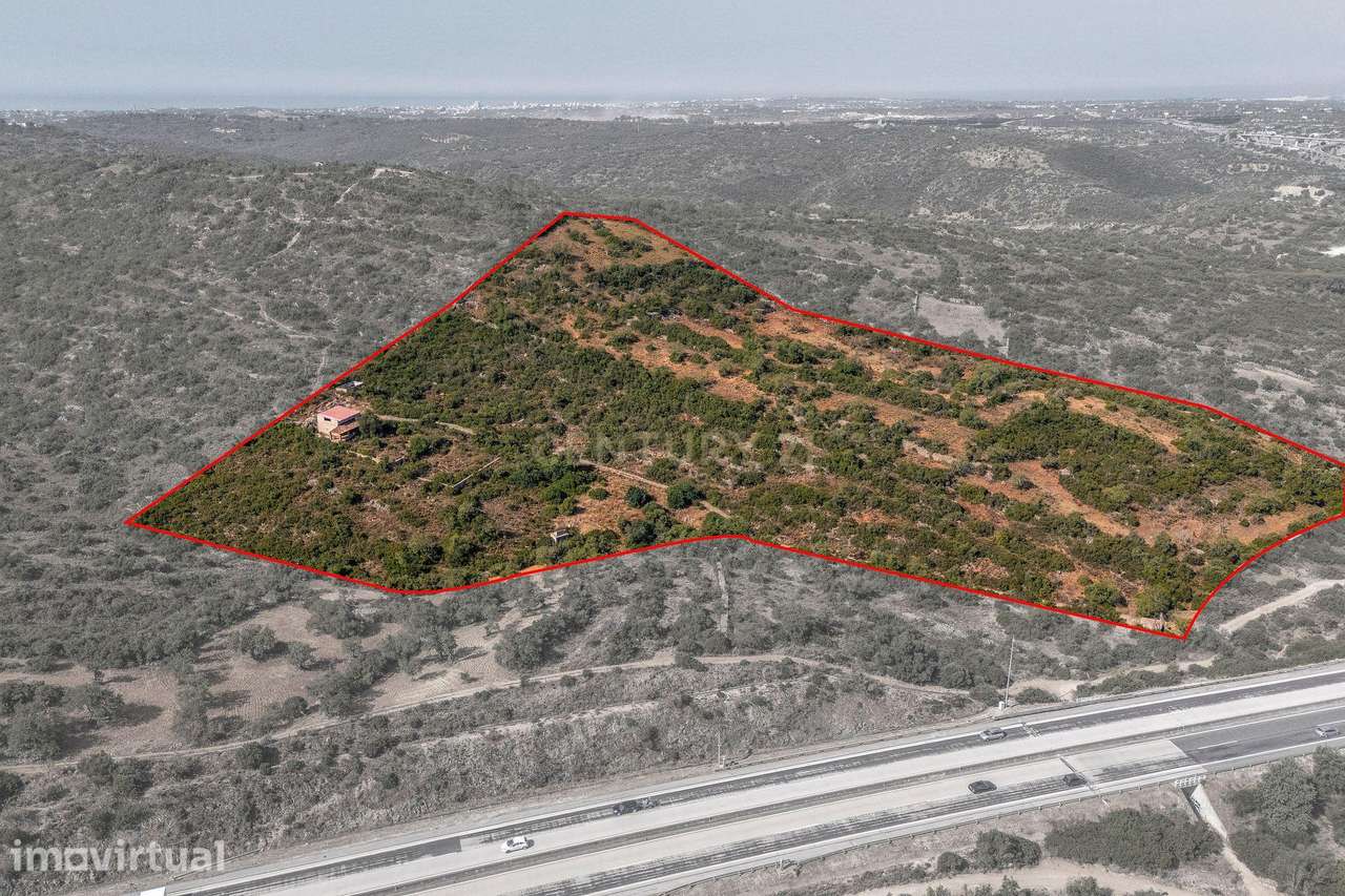 Terreno 55 880m2 | Paderne | Albufeira - Grande imagem: 3/31