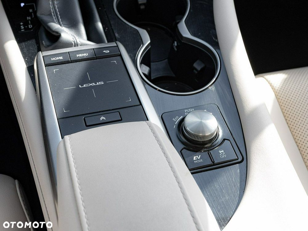 Lexus RX - 20