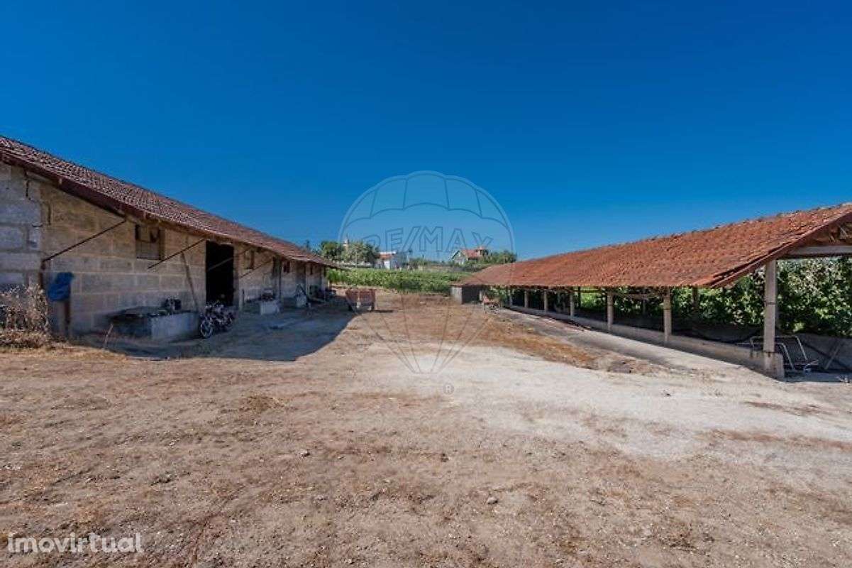 Quinta  para venda - Grande imagem: 5/18