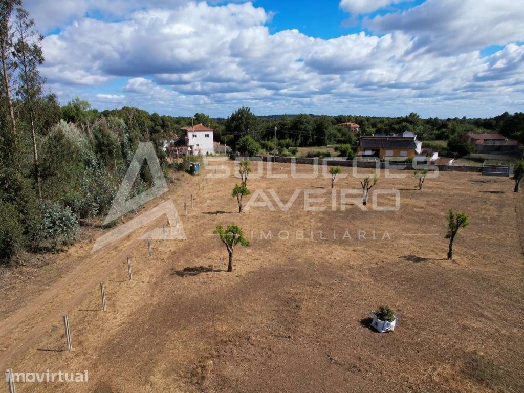 Terreno Urbanizável 2000 m² e com 60 m² de frente - Grande imagem: 3/6